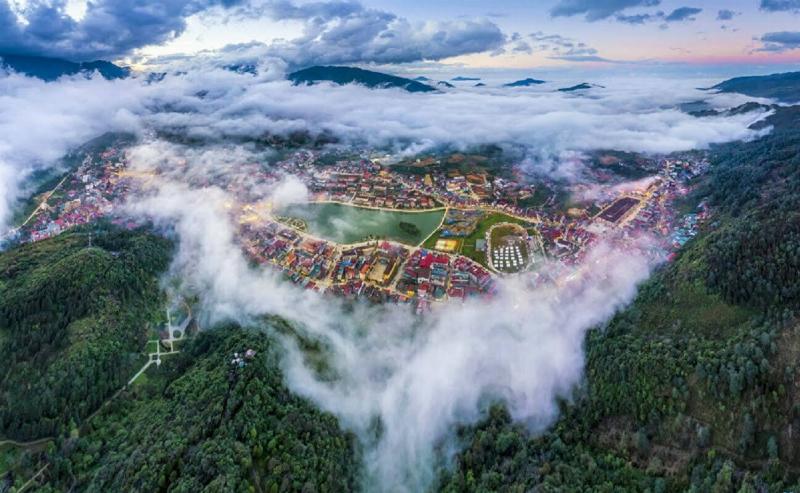 Những luống hoa đủ màu sắc trong khu vườn hoa trên núi Hàm Rồng Sapa, với du khách đang chụp ảnh